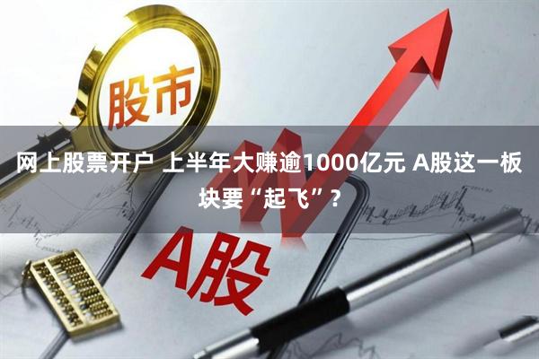 网上股票开户 上半年大赚逾1000亿元 A股这一板块要“起飞”？